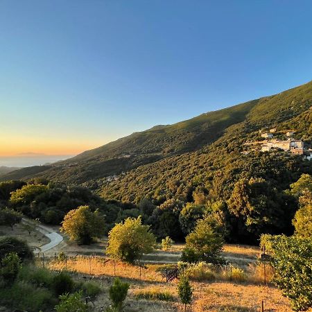 Appartement Dans Maison De Village Vue Mer Sisco Bagian luar foto